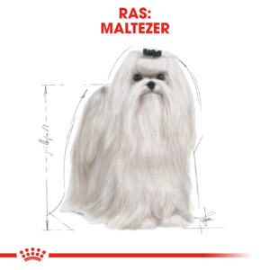 Royal Canin Hondenvoer Droog Maltese Adult 1,5 kg