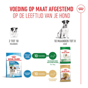 Royal Canin Hondenvoer Droog Mini Puppy 2 kg