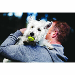 Kong Squeakair Tennisbal Multipack L 2 stuks