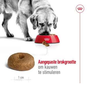 Royal Canin Maxi Ageing 8+ Hondenvoer 15 kg