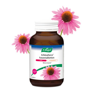 A.Vogel Echinaforce Sterk + Vitamine C - 12.29 euro