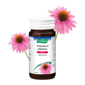 A.Vogel Echinaforce Sterk - 10.99 euro