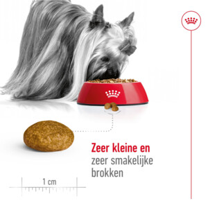 Royal Canin Hondenvoer Droog X-Small Adult 1,5 kg