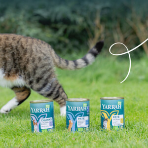 12x Yarrah Bio Kattenvoer Chunks Kip 405 gr