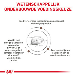 Royal Canin Gastrointestinal Kattenvoer 4 kg