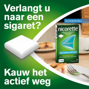 Nicorette Suikervrij Kauwgom Menthol Mint 2 mg - 25.95 euro