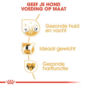 Royal Canin Cocker Adult Hondenvoer 12 kg