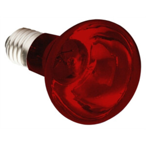 Eider Warmtelamp 150 Watt Wit - De Boer