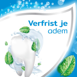 12x Aquafresh Tandpasta Freshmint Frisse Adem - 18.65 euro