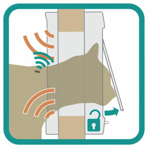 Sure Flap Kattenluik Microchip Wit 21 x 21 cm