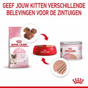 12x Royal Canin Mother & Baby Mousse Kattenvoer Nat 195 gr
