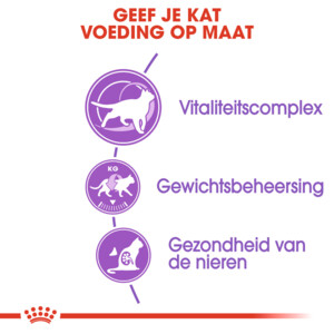 Royal Canin Kattenvoer Droog Sterilised 7+ 10 kg