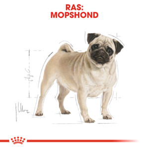 Royal Canin Hondenvoer Droog Pug Adult 7,5 kg