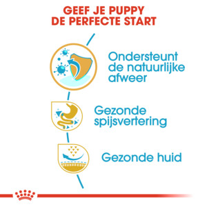 Royal Canin French Bulldog Puppy Hondenvoer 10 kg