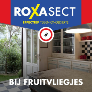 3x Roxasect Tegen Fruitvliegjes - 20.1 euro