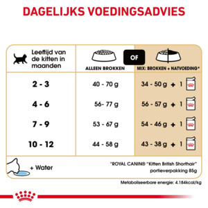 Royal Canin Kattenvoer Droog British Shorthair Kitten 10 kg