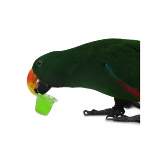 Back Zoo Nature Fruitkuipje Assorti Mix 6 stuks