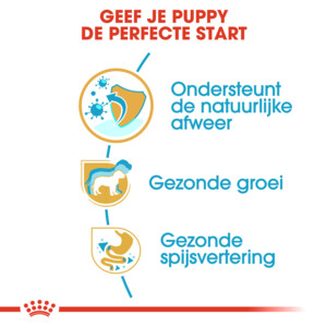 Royal Canin Jack Russell Puppy Hondenvoer 1.5 kg