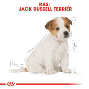 Royal Canin Hondenvoer Droog Jack Russell Puppy 3 kg