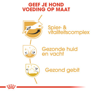 Royal Canin Hondenvoer Droog Jack Russell Adult 500 gr