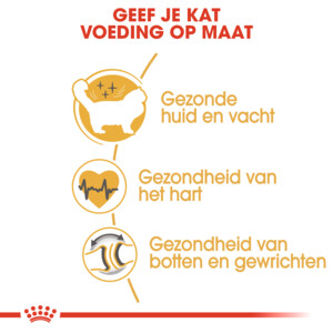 Royal Canin Kattenvoer Droog Ragdoll Adult 10 kg