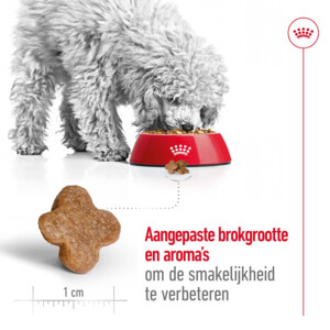 Royal Canin Mini Adult 8+ Hondenvoer 4 kg