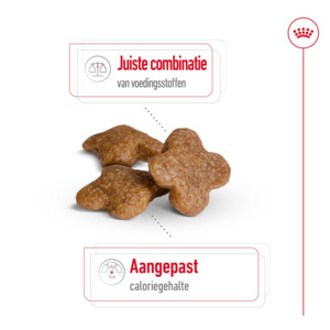 Royal Canin Mini Adult 8+ Hondenvoer 4 kg