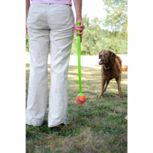 Chuckit Pro Ball Launcher Medium 63 cm