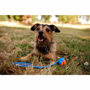Chuckit Pro Ball Launcher Medium 63 cm