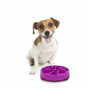 Outward Hound Fun Feeder Flower Large Paars 29 x 29 x 7 cm