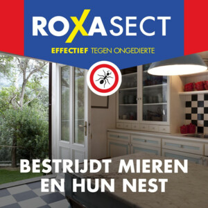 Roxasect Mierenloktoren - 5.09 euro