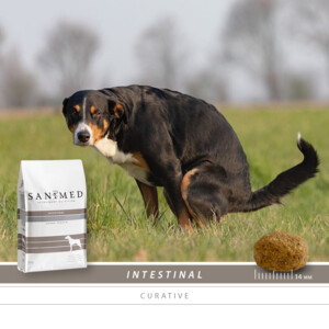 Sanimed Intestinal Hondenvoer 3 kg