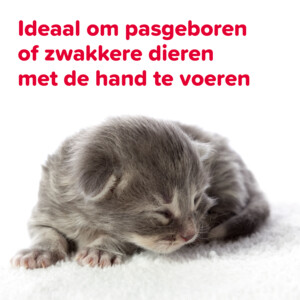 6x Beaphar Voederspuitjes 2 stuks
