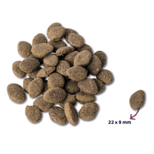 Renske Super Premium Graanvrij Adult Hondenvoer Lam 2 kg