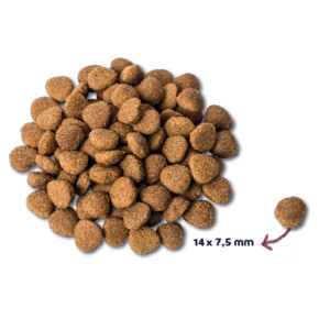 Renske Super Premium Adult Hondenvoer Kalkoen - Eend 2 kg
