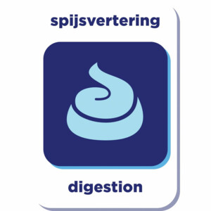 Renske Super Premium Adult Hondenvoer Kalkoen - Eend 2 kg