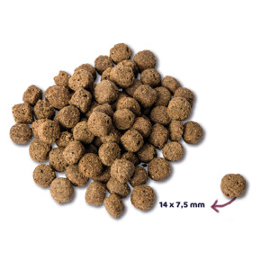 Renske Super Premium Adult Hondenvoer Oceaanvis 2 kg