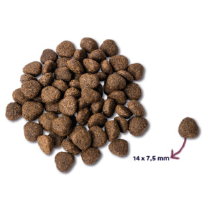 Renske Super Premium Graanvrij Adult Hondenvoer Zalm 12 kg