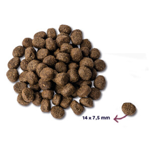 Renske Super Premium Graanvrij Senior Hondenvoer Kalkoen 12 kg