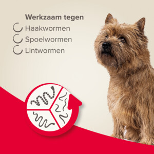 Beaphar All-in-one Ontworming Tabletten Hond 2,5 - 20 kg - 8.35 euro