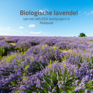 WELEDA Lavendel  Ontspanningsbad - 13.99 euro