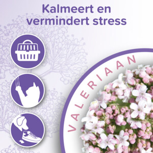 Beaphar No Stress Hond & Kat  Spray 125 ml