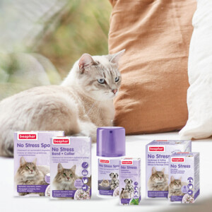 Beaphar No Stress Hond & Kat  Spray 125 ml