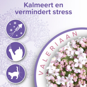 Beaphar No Stress Kat  Halsband 