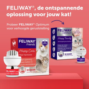 Feliway Friends Starterset Verdamper + Navulling 48 ml