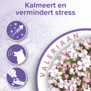 Beaphar No Stress Hond  Halsband 