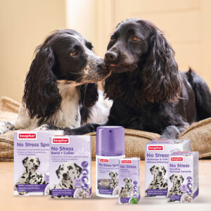 Beaphar No Stress Hond  Halsband 