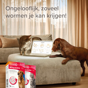 Beaphar Milquestra Ontworming Tabletten Kat 2 - 12 kg - 23.59 euro