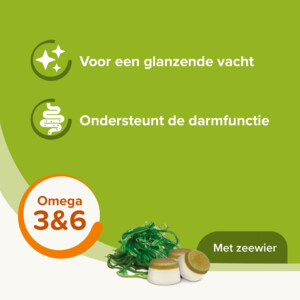 Beaphar Schapenvet Bonbons Mini Zeewier 245 gr