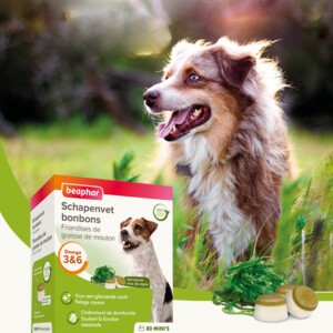 Beaphar Schapenvet Bonbons Mini Zeewier 245 gr